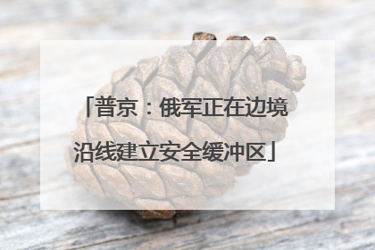 普京：俄军正在边境沿线建立安全缓冲区