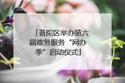 普陀区举办第六届政务服务“网办季”启动仪式