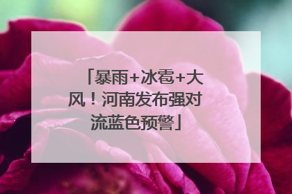 暴雨+冰雹+大风！河南发布强对流蓝色预警