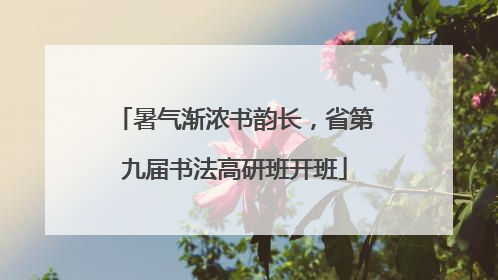 暑气渐浓书韵长，省第九届书法高研班开班