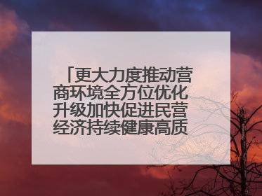 更大力度推动营商环境全方位优化升级加快促进民营经济持续健康高质量发展