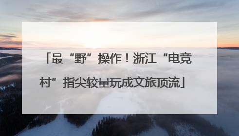 最“野”操作！浙江“电竞村”指尖较量玩成文旅顶流