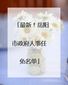 最新！岳阳市政府人事任免名单