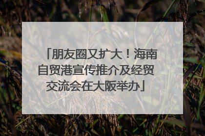 朋友圈又扩大！海南自贸港宣传推介及经贸交流会在大阪举办