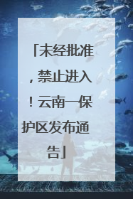 未经批准，禁止进入！云南一保护区发布通告