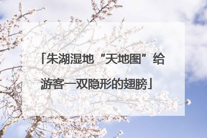 朱湖湿地“天地图”给游客一双隐形的翅膀