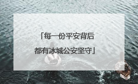 每一份平安背后 都有冰城公安坚守
