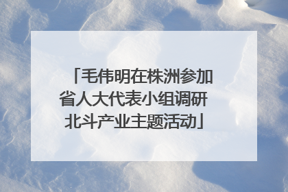 毛伟明在株洲参加省人大代表小组调研北斗产业主题活动