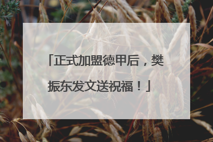 正式加盟德甲后，樊振东发文送祝福！