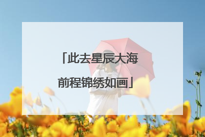 此去星辰大海 前程锦绣如画
