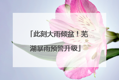此刻大雨倾盆！芜湖暴雨预警升级