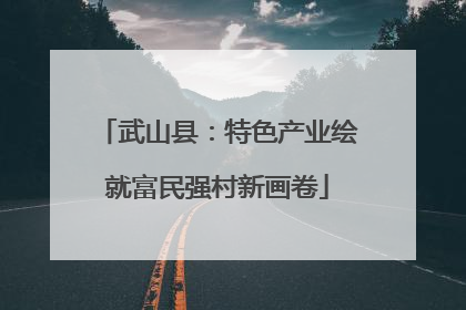 武山县：特色产业绘就富民强村新画卷