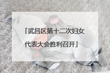 武昌区第十二次妇女代表大会胜利召开