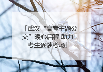 武汉“高考主题公交”暖心启程 助力考生逐梦考场