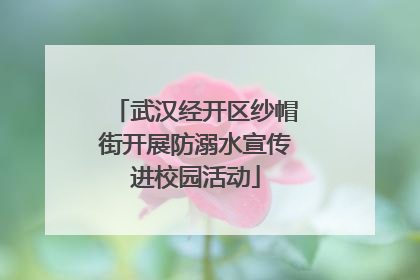 武汉经开区纱帽街开展防溺水宣传进校园活动