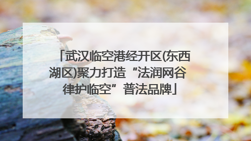 武汉临空港经开区(东西湖区)聚力打造“法润网谷 律护临空”普法品牌