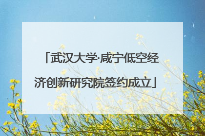 武汉大学·咸宁低空经济创新研究院签约成立