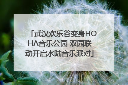 武汉欢乐谷变身HOHA音乐公园 双园联动开启水陆音乐派对