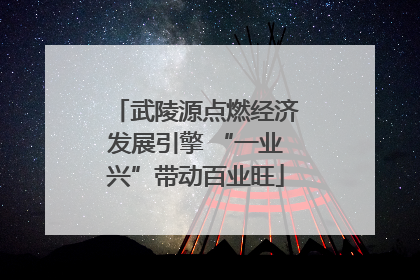 武陵源点燃经济发展引擎 “一业兴”带动百业旺