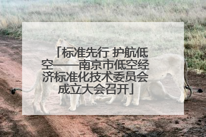 标准先行 护航低空——南京市低空经济标准化技术委员会成立大会召开