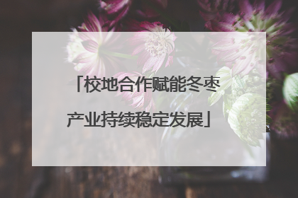 校地合作赋能冬枣产业持续稳定发展