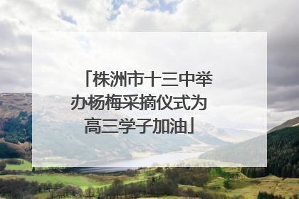 株洲市十三中举办杨梅采摘仪式为高三学子加油
