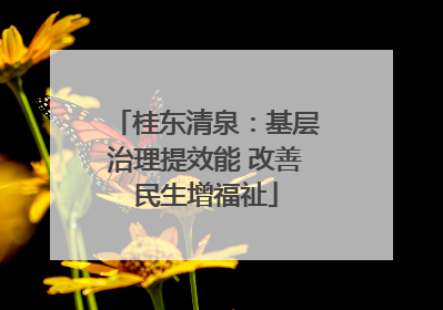 桂东清泉：基层治理提效能 改善民生增福祉