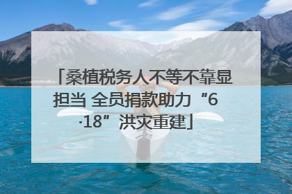 桑植税务人不等不靠显担当 全员捐款助力“6·18”洪灾重建