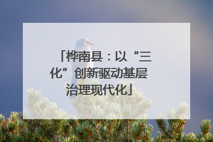桦南县：以“三化”创新驱动基层治理现代化