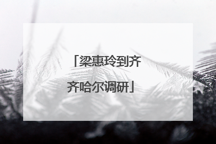 梁惠玲到齐齐哈尔调研
