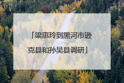 梁惠玲到黑河市逊克县和孙吴县调研