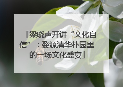 梁晓声开讲“文化自信”：婺源清华朴园里的一场文化盛宴