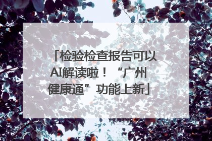 检验检查报告可以AI解读啦！“广州健康通”功能上新