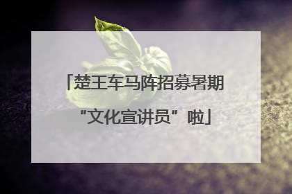 楚王车马阵招募暑期“文化宣讲员”啦