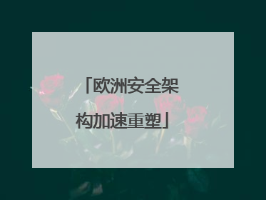 欧洲安全架构加速重塑