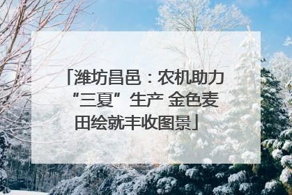 潍坊昌邑：农机助力“三夏”生产 金色麦田绘就丰收图景