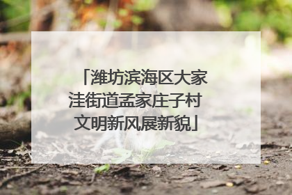 潍坊滨海区大家洼街道孟家庄子村文明新风展新貌