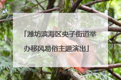 潍坊滨海区央子街道举办移风易俗主题演出