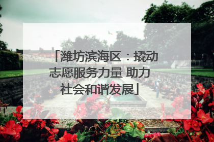 潍坊滨海区：撬动志愿服务力量 助力社会和谐发展