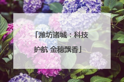 潍坊诸城：科技护航 金穗飘香