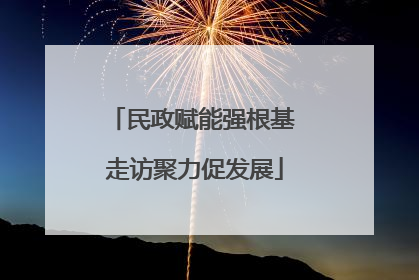 民政赋能强根基 走访聚力促发展