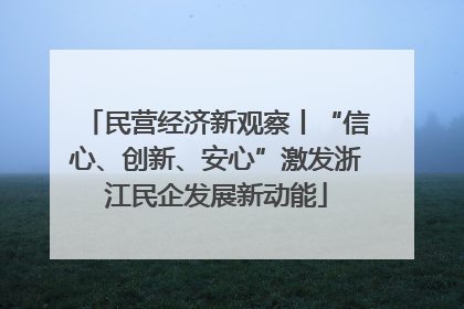民营经济新观察丨“信心、创新、安心”激发浙江民企发展新动能