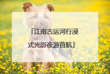 江南古运河行浸式光影夜游首航
