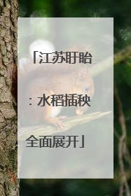江苏盱眙：水稻插秧全面展开