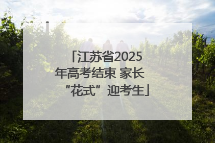 江苏省2025年高考结束 家长“花式”迎考生