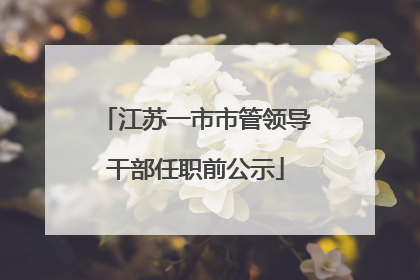 江苏一市市管领导干部任职前公示