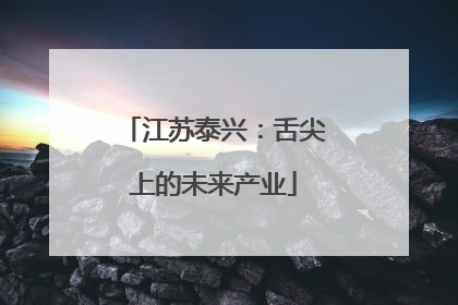 江苏泰兴：舌尖上的未来产业