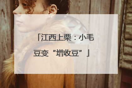 江西上栗：小毛豆变“增收豆”