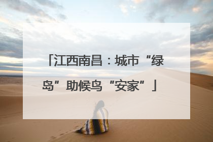 江西南昌：城市“绿岛”助候鸟“安家”