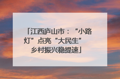 江西庐山市：“小路灯”点亮“大民生” 乡村振兴稳提速